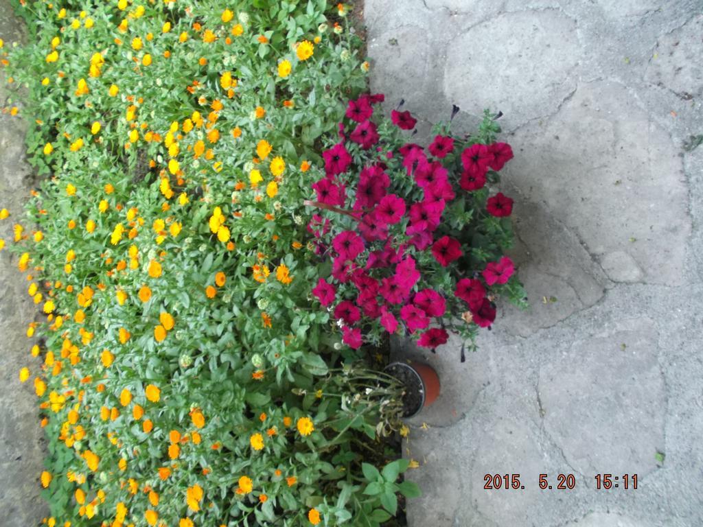 Beyaz KonaK Green Garden Hotel Safranbolu Exterior foto