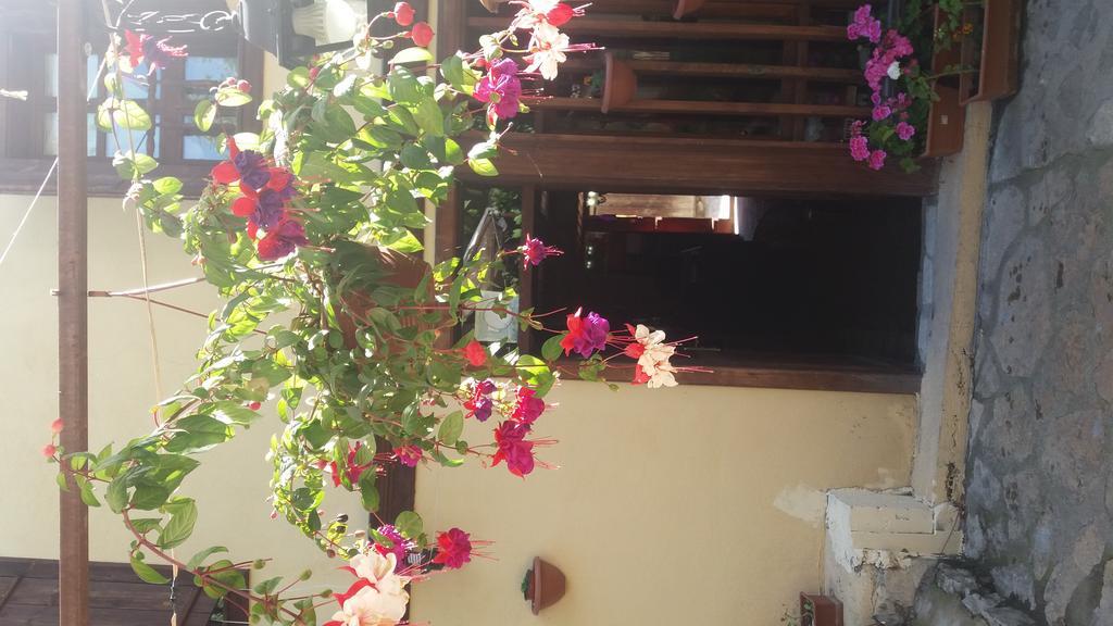 Beyaz KonaK Green Garden Hotel Safranbolu Exterior foto